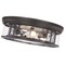 Z-Lite Clarion 4 Light Flush Mount, Bronze & Inner Clear Water & Outer Clear 493F4-BRZ - alternate 3